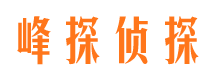 扶风外遇出轨调查取证